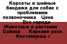 Корсеты и шейные бандажи для собак с проблемами позвоночника › Цена ­ 2 500 - Все города Животные и растения » Собаки   . Карелия респ.,Костомукша г.